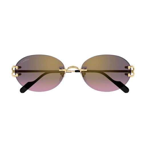 Lunettes Cartier CT0551S-004