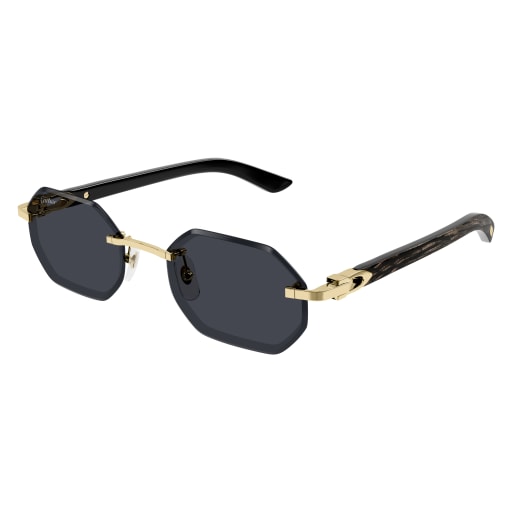 Lunettes de soleil Cartier CT0439S-001