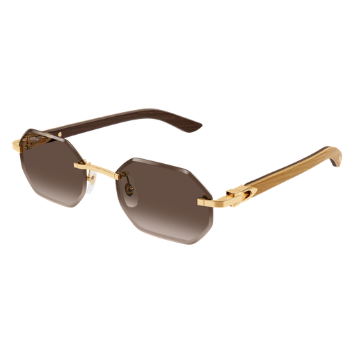 Lunettes de soleil Cartier CT0439S-006